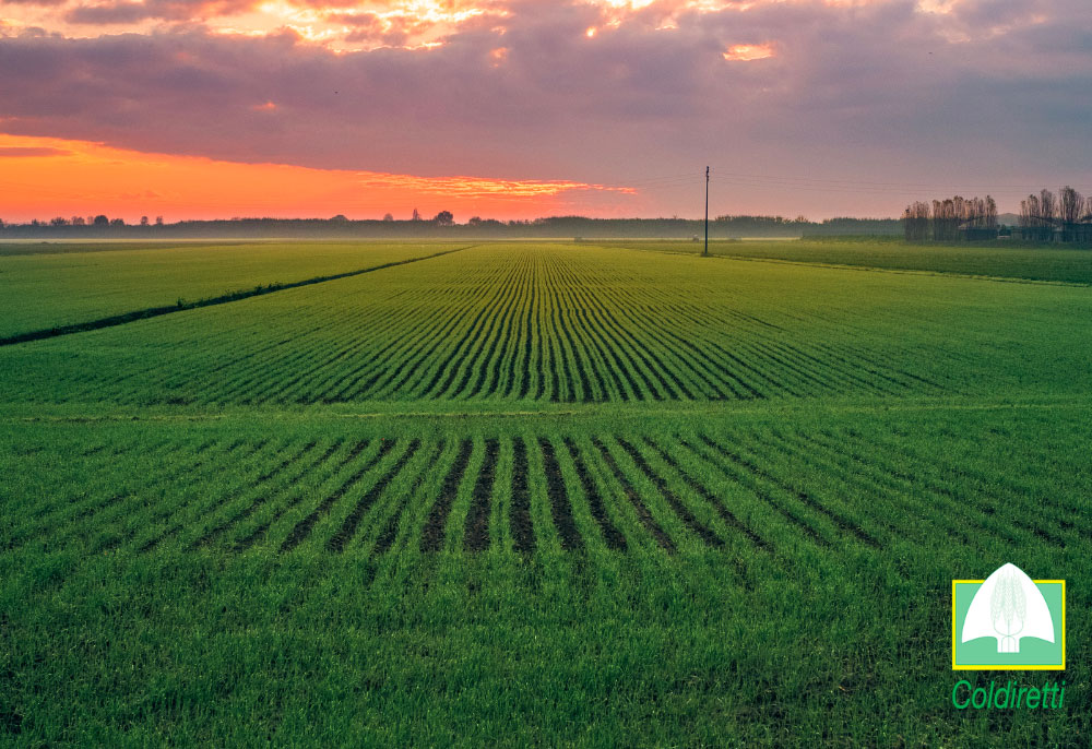 news-belloli-evidenza-01