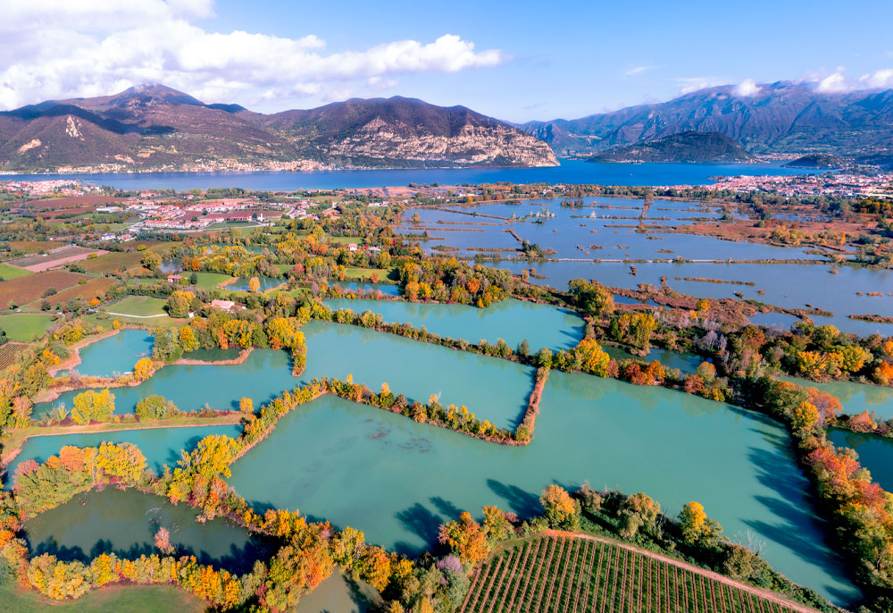 news-torbiere-evidenza-01