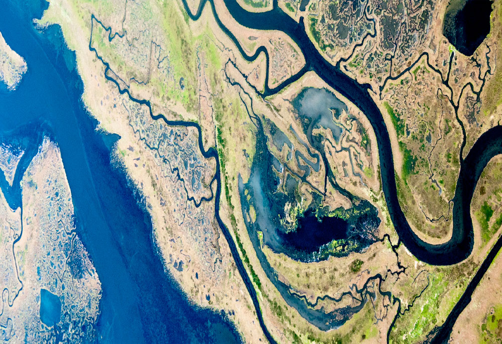 news-tutela_risorsa-evidenza-01