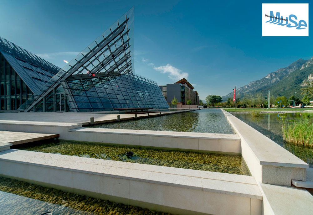 news-zucchelli-evidenza-01